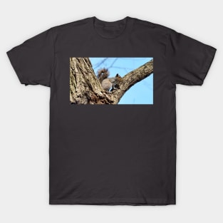 A Watchful Squirrel Sitting In a Tree T-Shirt